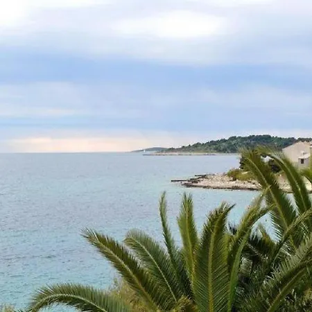 Lavanda * Rogoznica (Sibenik-Knin)