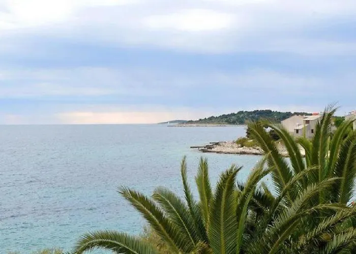 Lavanda * Rogoznica (Sibenik-Knin)